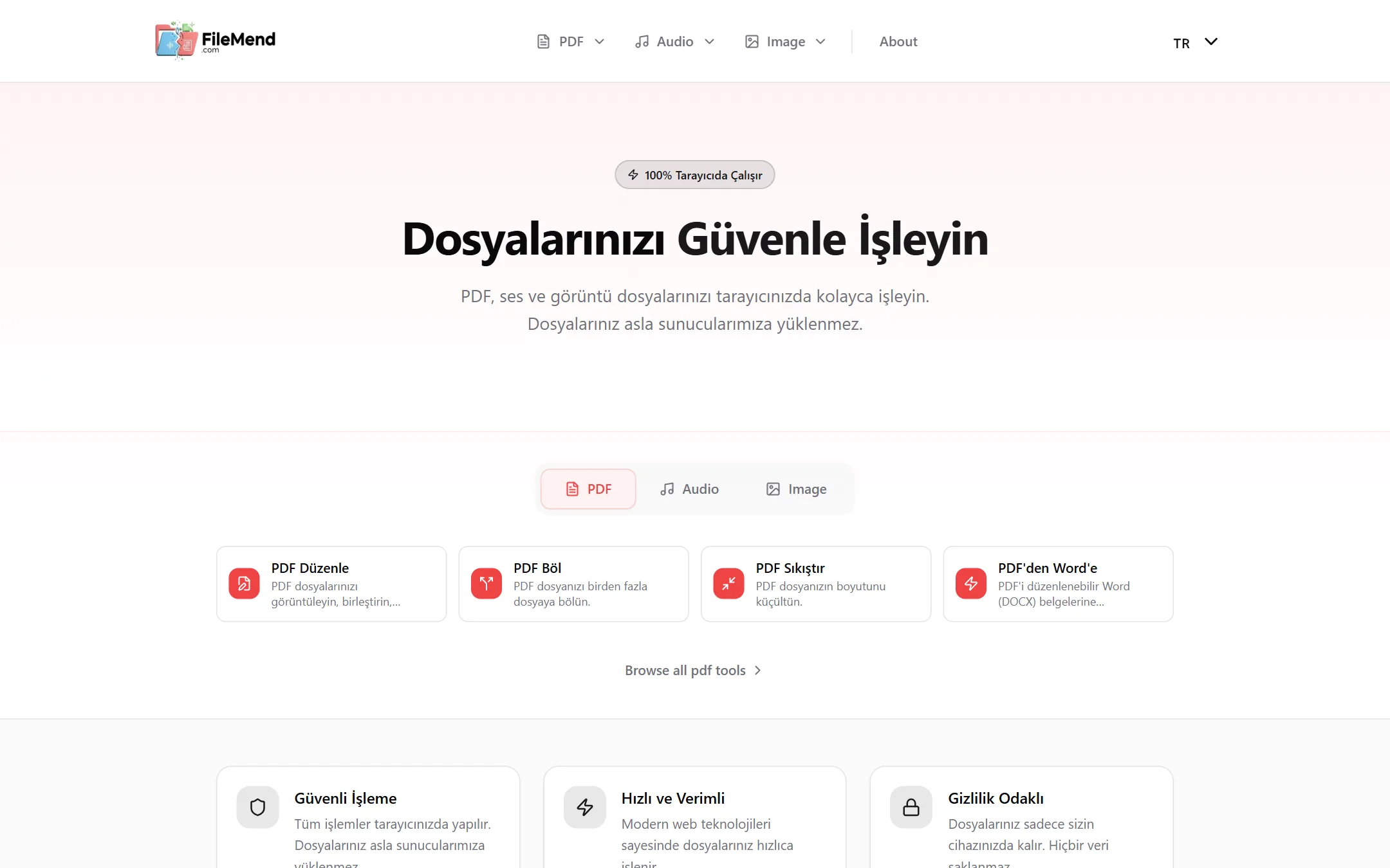 FileMend masaüstü görünüm